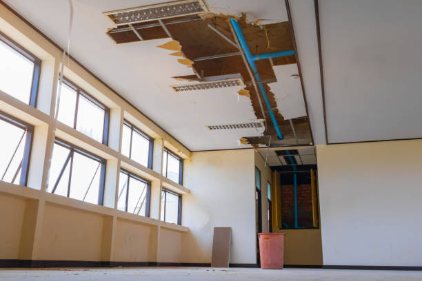 Best Fire Damage Restoration  in Wilmington, DE