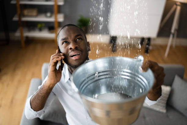 Best Mold removal after water damage  in Wilmington, DE
