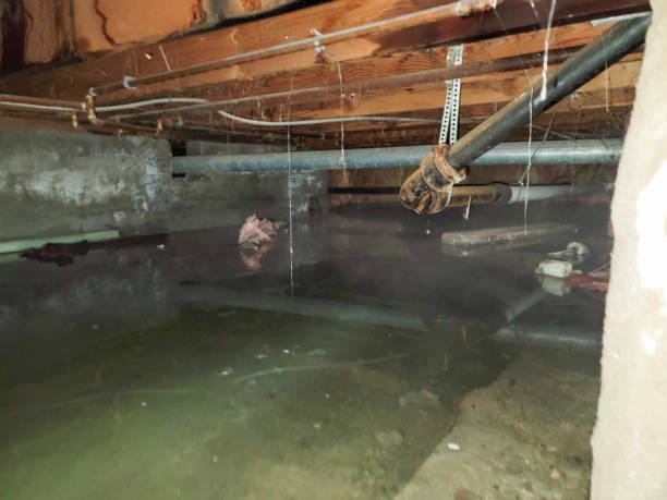 Best Water damage restoration experts  in Wilmington, DE