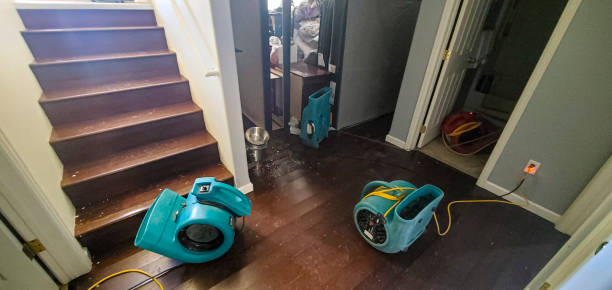 Best 24-hour water damage restoration  in Wilmington, DE