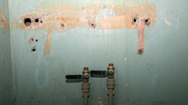 Best Basement water damage restoration  in Wilmington, DE