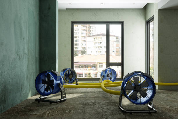 , DE Water damage restoration Company